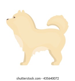 Chow-chow vector illustration icon in cartoon design