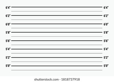 Chriminal Height Mugshot Lines Police Verification Stock Vector ...