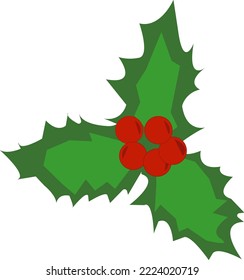 Chrismas holly plant vector image on white background