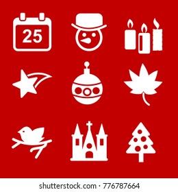 Chrismtas icons set