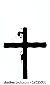 Christian cross with insects