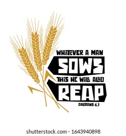 Christian typography, lettering and illustration. Whatever a man sows this he will also reap.