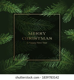 Christmas Abstract Vector Square Greeting Card or Poster. Fir-needle Spruce or Pine Branches Background with Golden Glitter Typography. Winter Holidays Invitation Template or Decoration Pattern.