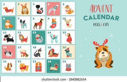 Christmas advent calendar with dogs. Funny Xmas poster with puppies, dogs wearing winter clothes, Christmas accessories 