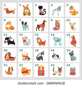 Christmas advent calendar with dogs. Funny Xmas poster with puppies, dogs wearing winter clothes, Christmas accessories icons set