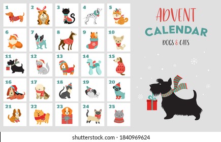 Christmas advent calendar with dogs. Funny Xmas poster with puppies, dogs wearing winter clothes, Christmas accessories icons set