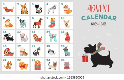 Christmas advent calendar with dogs. Funny Xmas poster with puppies, dogs wearing winter clothes, Christmas accessories 