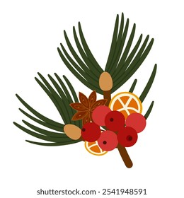 Fatias de laranja de arranjo de Natal, Pinheiro Branch, anis, Rowanberry. Decoração botânica de inverno. Perfeito para projetos de férias ecológicos e decoração de inverno. Vetor