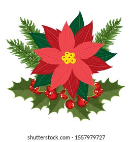 Christmas arrangement, poinsettia, fir branches, Holly leaves and red berries of mistletoe. Vector illustration for postcards, banners, posters, greetings, covers and cards