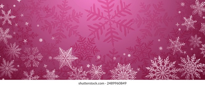 Christmas background of beautiful complex snowflakes located below, white on dark pink colors. Winter illustration with falling snow.