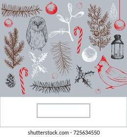  Christmas background with birds and Christmas plants. Vector hand-drawn illustration.