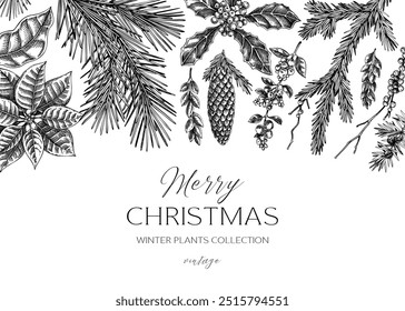 Christmas background design. Winter plants vintage banner. Conifer trees, winter flowers, birds sketches. Hand drawn vector illustration. NOT AI generated