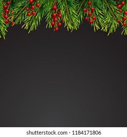 Christmas background with fir branches