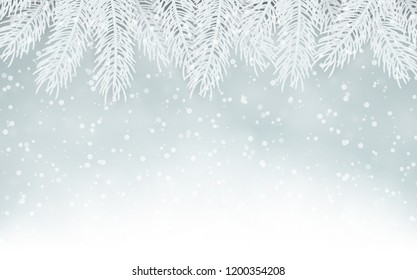 Christmas background with fir branches