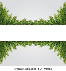 Christmas background with fir branches