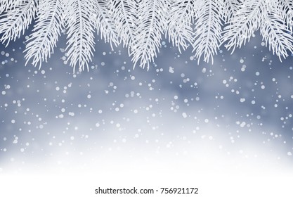 Christmas background with fir branches
