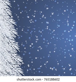 Christmas background with fir branches