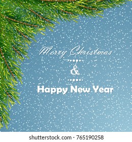 Christmas background with fir branches