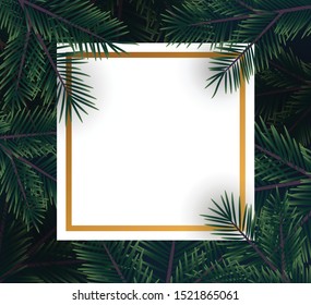 Christmas background with fir branches. Vector illustration