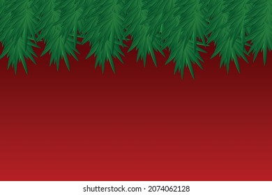 Christmas background with fir branches vector.