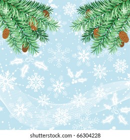 Christmas background with fir, element for design, vector illustration