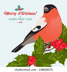 Christmas background and greeting card with bullfinch and holly berry