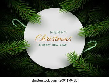 Fondo de Navidad con ramas de pino, pancarta redonda de papel y latas de dulces. Marco navideño festivo de rama verde de pino, abeto, abeto. Tarjeta de Navidad. Ilustración vectorial.