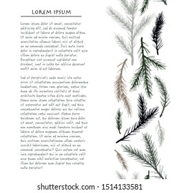Christmas background with pine tree Hand drawn square vertical social media template