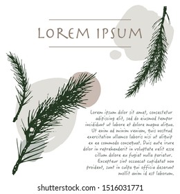 Christmas background with pine tree plant pastel color corner with brush stroke for greeting car
