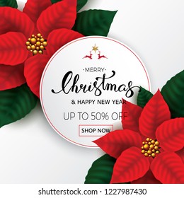 Christmas Background with Poinsettia Flowers sale banner. Calligraphic Christmas lettering. Winter vector illustration template