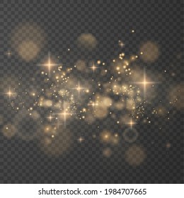 Christmas background. Powder PNG. Magic shining gold dust. Fine, shiny bokeh dust particles fall off slightly. The magical effect of flickering lights.