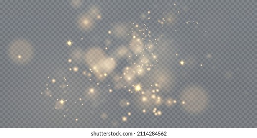 Christmas background. Powder PNG. Magic shining gold dust. Fine, shiny dust bokeh particles fall off slightly. Fantastic shimmer effect.	
