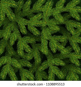 Christmas background with realistic branches of Christmas tree Festive backdrop Vector illustration