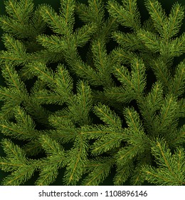 Christmas background with realistic branches of Christmas tree Festive backdrop Vector illustration
