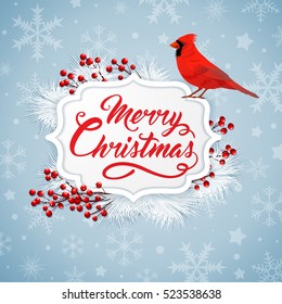 Christmas Background With Red Berries, White Fir Branch And Cardinal Bird. Merry Christmas Lettering. Design For Greeting Card.