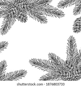 Christmas background. A sketch of a Christmas tree branch with cones.