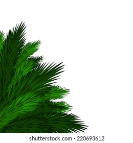 Christmas background with spruce branches