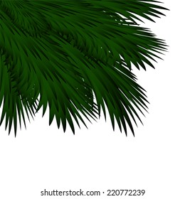 Christmas background with spruce branches