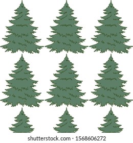 Christmas background. Spruce tree on a white background.