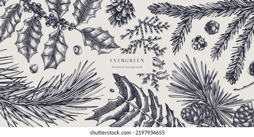 Christmas background. Vector frame with hand drawn conifers sketch - cypress, fir, spruce, pine, holly, larch, yew. Vintage design for Christmas decoration. Winter trees botanical illustration