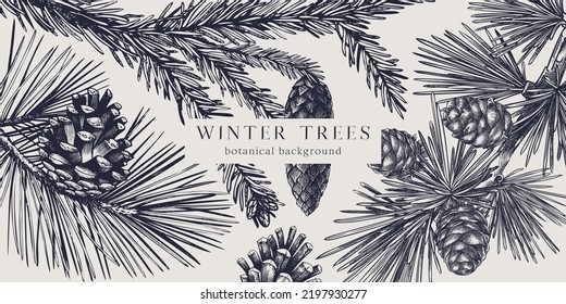 Christmas background. Vector frame with hand-drawn conifer plants and cones sketches -  fir, spruce, pine, larch. Vintage design for Christmas decoration. Winter trees botanical illustration retro.
