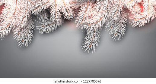 Christmas background with white fir twig. Vector