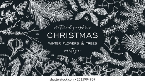 Christmas background. Winter flowers frame design on chalkboard. Conifer tree, evergreen plant, berry sketches. Hand drawn vector illustration. NOT AI generated