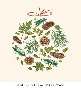 Christmas ball, isolated on white background. New Year card with fir and pine branches, fern and wild leaves. Vector illustration. Winter label with greenery and coniferous .