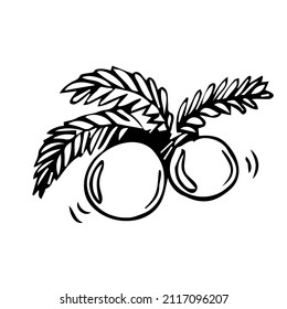 Christmas balls with a fir branch. doodle Vector christmas toys on a tree branch. Christmas pine tree branch hand drawn.
