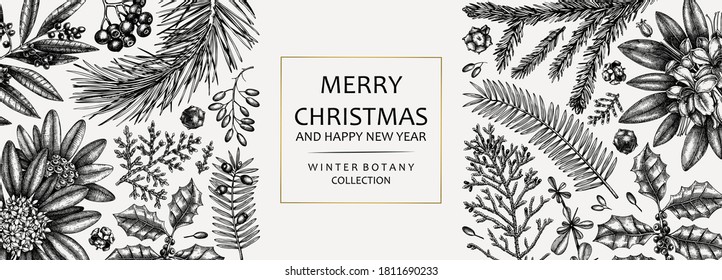 Christmas banner design. Vector frame with hand sketched winter flowers, evergreen plants and conifers. Vintage background with botanical elements. Engraved style vintage winter illustration.