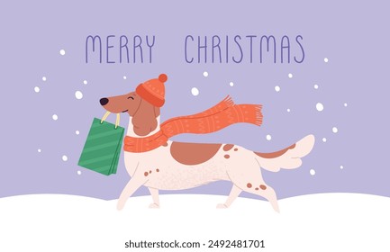 Christmas banner with dog. Cartoon dachshund with gift pack. Puppy in hat and scarf go from new year sale. Winter holiday pet poster, racy vector design