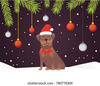 Christmas banner template with dog, balls, ribbons and decoration. New year tree branches background.