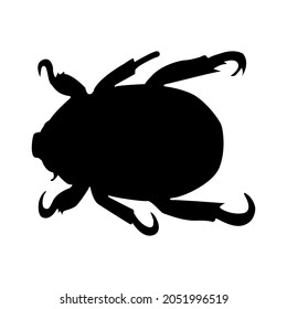 Christmas Beetle Silhouette, Anoplognathus, Australian