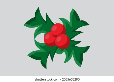 Christmas Berries with Fresh Red Color